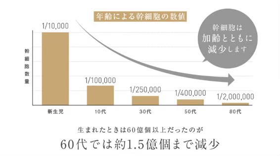 美容皮膚科