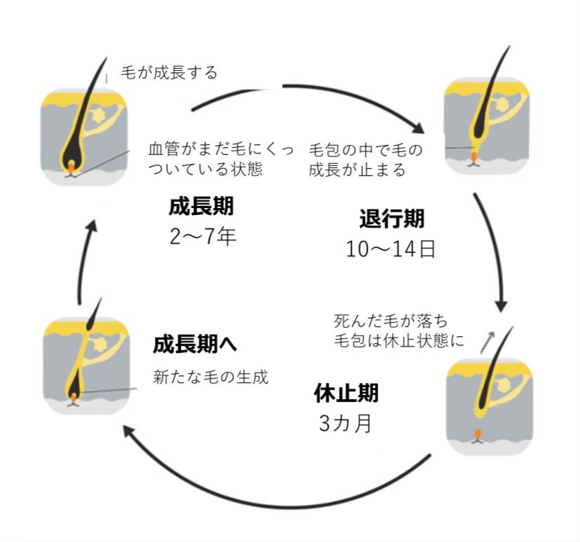 美容室26
