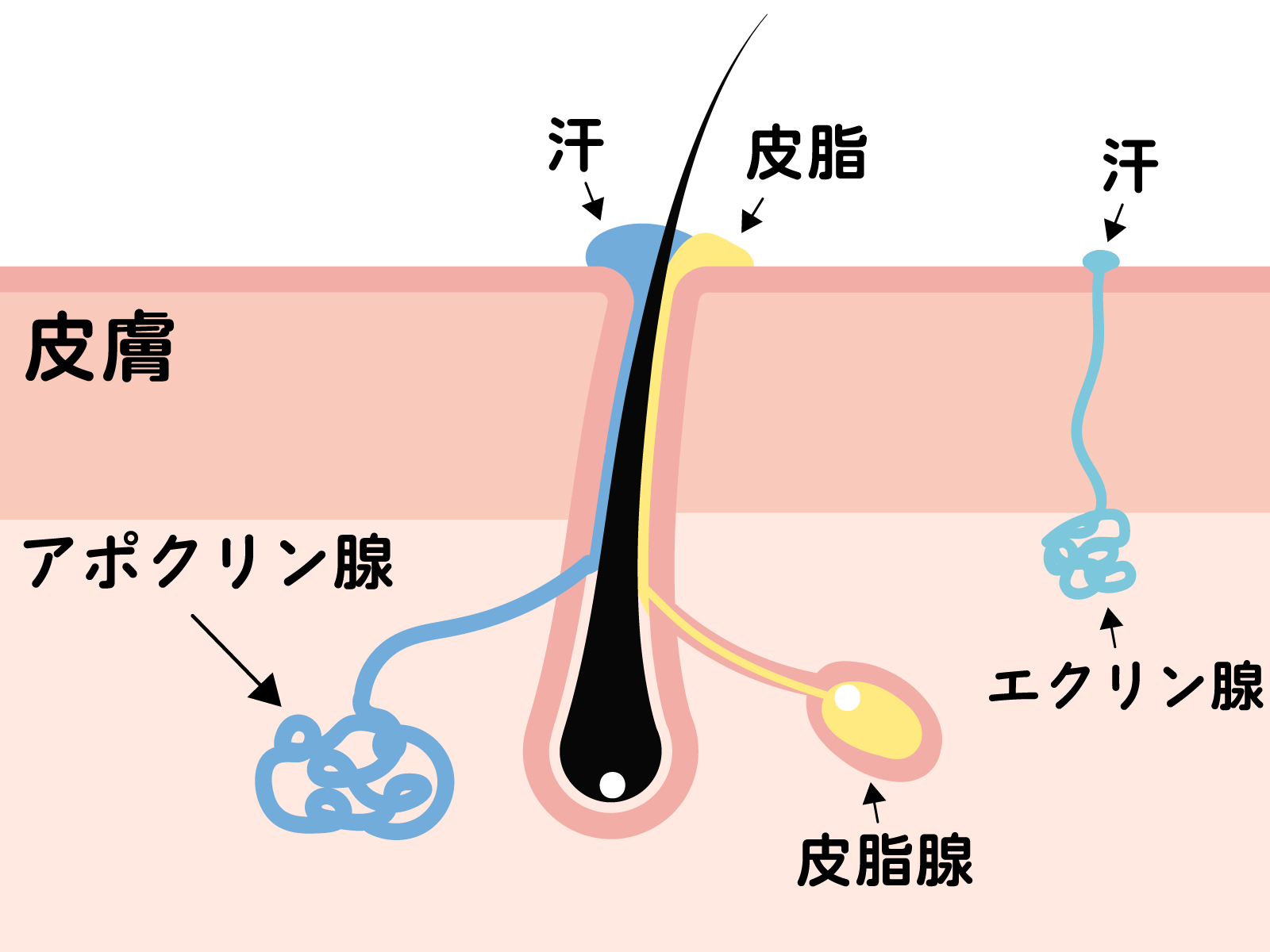 美容室2